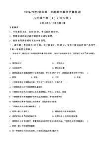河北省邢臺市威縣寺莊中學2024-2025學年八年級上學期期中生物試題（含答案）
