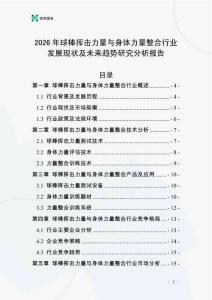 2026年球棒揮擊力量與身體力量整合行業發展現狀及未來趨勢研究分析報告