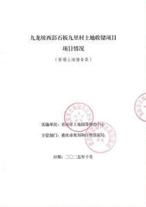 10項目情況-九龍坡西彭石板九里村土地收儲項目