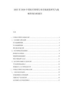 2025至2030中國醫(yī)療照明行業(yè)市場深度研究與戰(zhàn)略咨詢分析報告
