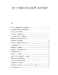2025年中國(guó)板胡弦市場(chǎng)數(shù)據(jù)調(diào)查、監(jiān)測(cè)研究報(bào)告