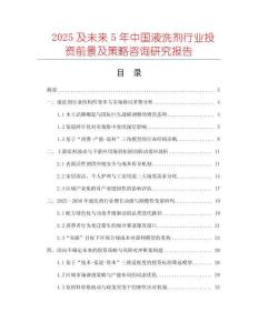 2025及未來(lái)5年中國(guó)液洗劑行業(yè)投資前景及策略咨詢研究報(bào)告