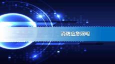 消防應(yīng)急照明