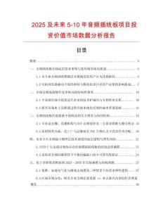 2025及未來5-10年音頻插線板項目投資價值市場數據分析報告