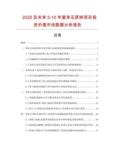 2025及未來5-10年莫來石質磚項目投資價值市場數據分析報告