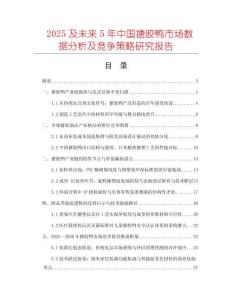 2025及未來5年中國搪膠鴨市場數(shù)據(jù)分析及競爭策略研究報告