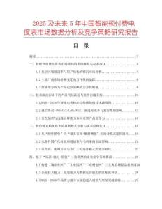 2025及未來5年中國智能預(yù)付費(fèi)電度表市場數(shù)據(jù)分析及競爭策略研究報(bào)告