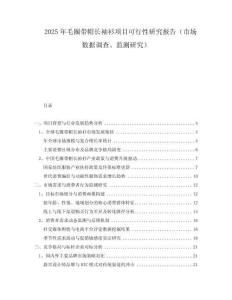 2025年毛圈带帽长袖衫项目可行性研究报告（市场数据调查、监测研究）