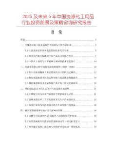2025及未來5年中國洗滌化工用品行業(yè)投資前景及策略咨詢研究報告
