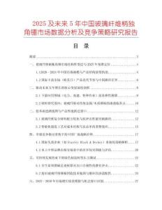 2025及未來5年中國玻璃纖維柄獨(dú)角錘市場數(shù)據(jù)分析及競爭策略研究報告