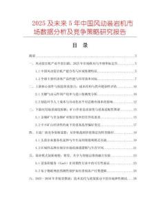 2025及未來5年中國風(fēng)動裝巖機市場數(shù)據(jù)分析及競爭策略研究報告