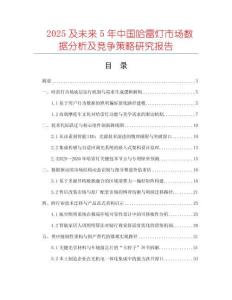 2025及未來5年中國哈雷燈市場數(shù)據(jù)分析及競爭策略研究報(bào)告