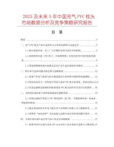 2025及未來(lái)5年中國(guó)充氣PVC枕頭市場(chǎng)數(shù)據(jù)分析及競(jìng)爭(zhēng)策略研究報(bào)告