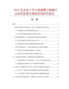 2025及未來5年中國微霧分離器行業(yè)投資前景及策略咨詢研究報告