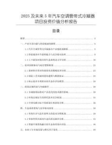 2025及未來5年汽車空調管帶式冷凝器項目投資價值分析報告