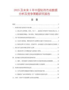 2025及未來5年中國貼劑市場數(shù)據(jù)分析及競爭策略研究報(bào)告