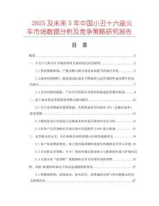 2025及未來5年中國小丑十六座火車市場數據分析及競爭策略研究報告