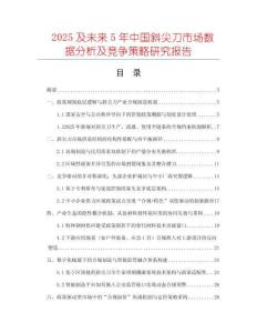 2025及未來5年中國斜尖刀市場數(shù)據(jù)分析及競爭策略研究報告