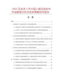 2025及未來5年中國小提花組織布市場數(shù)據(jù)分析及競爭策略研究報(bào)告
