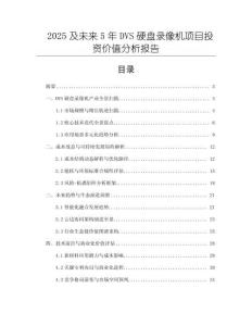 2025及未來5年DVS硬盤錄像機項目投資價值分析報告