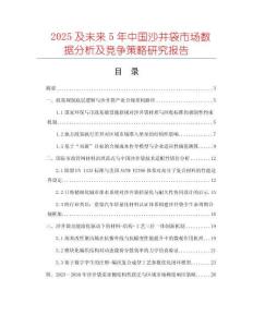 2025及未來5年中國沙井袋市場數(shù)據(jù)分析及競爭策略研究報(bào)告