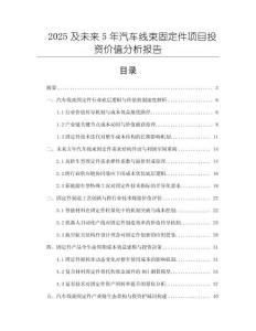 2025及未来5年汽车线束固定件项目投资价值分析报告