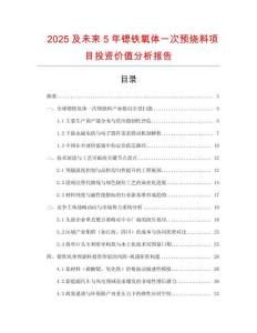 2025及未來(lái)5年鍶鐵氧體一次預(yù)燒料項(xiàng)目投資價(jià)值分析報(bào)告