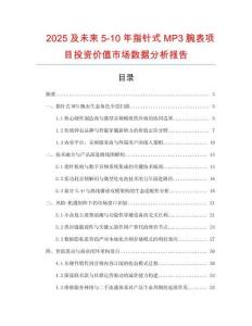 2025及未来5-10年指针式MP3腕表项目投资价值市场数据分析报告