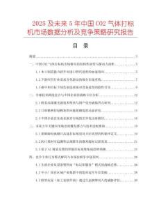2025及未來5年中國CO2氣體打標機市場數(shù)據(jù)分析及競爭策略研究報告