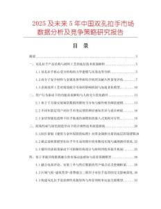 2025及未來5年中國雙孔拉手市場數(shù)據(jù)分析及競爭策略研究報告