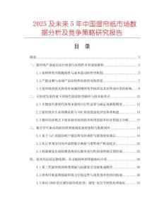 2025及未來5年中國濕簾紙市場數(shù)據(jù)分析及競爭策略研究報告