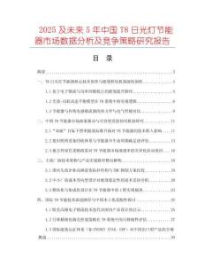 2025及未來(lái)5年中國(guó)T8日光燈節(jié)能器市場(chǎng)數(shù)據(jù)分析及競(jìng)爭(zhēng)策略研究報(bào)告