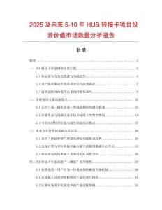 2025及未来5-10年HUB转接卡项目投资价值市场数据分析报告