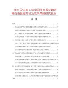 2025及未來5年中國徑向振動超聲棒市場數(shù)據(jù)分析及競爭策略研究報告