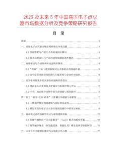 2025及未来5年中国高压电子点火器市场数据分析及竞争策略研究报告