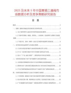 2025及未來5年中國黃銅三通閥市場數(shù)據(jù)分析及競爭策略研究報告