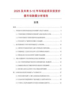 2025及未來(lái)5-10年車(chē)輪組項(xiàng)目投資價(jià)值市場(chǎng)數(shù)據(jù)分析報(bào)告