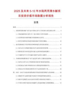 2025及未来5-10年水陆两用潜水艇项目投资价值市场数据分析报告