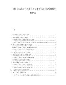 2025及未來5年雙面自粘防水卷材項目投資價值分析報告