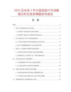 2025及未來5年中國消音片市場數據分析及競爭策略研究報告