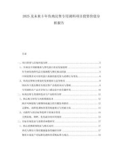 2025及未來5年魚肉漢堡專用調料項目投資價值分析報告