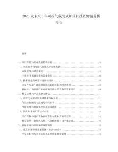 2025及未來5年可控氣氛管式爐項(xiàng)目投資價(jià)值分析報(bào)告