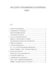 2025及未來5年彩色玻璃管液位計項目投資價值分析報告