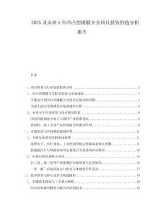 2025及未來5年凹凸型薄膜開關項目投資價值分析報告