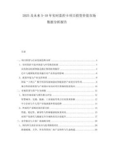 2025及未來(lái)5-10年實(shí)時(shí)監(jiān)控卡項(xiàng)目投資價(jià)值市場(chǎng)數(shù)據(jù)分析報(bào)告