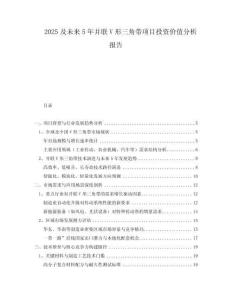 2025及未來(lái)5年并聯(lián)V形三角帶項(xiàng)目投資價(jià)值分析報(bào)告