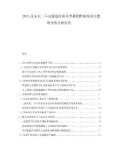 2025及未來5年雙通道經(jīng)顱多普勒診斷系統(tǒng)項目投資價值分析報告