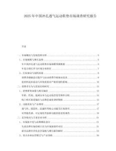 2025年中國沖孔透氣運(yùn)動鞋墊市場調(diào)查研究報告