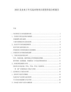 2025及未來5年毛氈襯墊項目投資價值分析報告