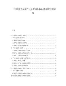 中國漂洗添加劑產(chǎn)業(yè)技術(shù)突破及商業(yè)化路徑專題研究